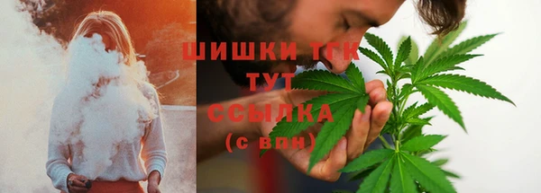 ешки Аркадак